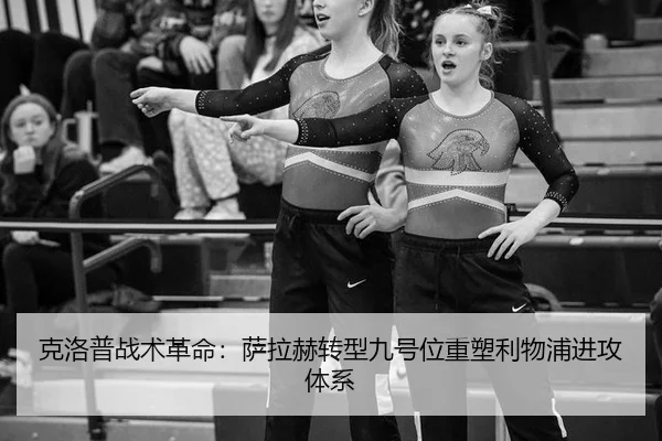 ke-luo-pu-zhan-shu-ge-ming-sa-la-he-zhuan-xing-jiu-hao-wei-zhong-su-li-wu-pu-jin-gong-ti-xi-3-546.jpg
