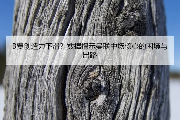 fei-chuang-zao-li-xia-hua-shu-ju-jie-shi-man-lian-zhong-chang-he-xin-de-kun-jing-yu-chu-lu-3-578.jpg